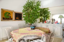 Location saisonnière Maison Gordes  