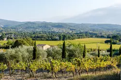 Location saisonnière Maison Mazan  