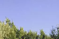 Location saisonnière Mas Goult  