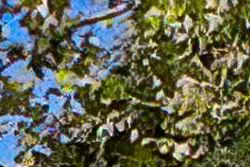 Location saisonnière Maison Le Thor  