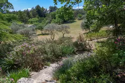 Location saisonnière Maison Cabrières-d'Avignon  