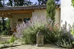 Location saisonnière Villa Oppède  