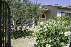 Location saisonnière Villa Oppède  