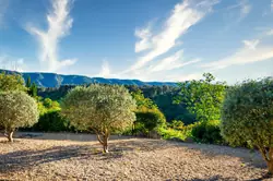 Location saisonnière Maison Ménerbes  