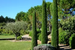 Location saisonnière Maison Ménerbes  