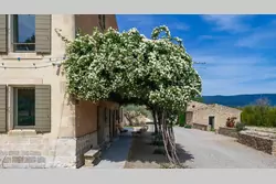 Location saisonnière Maison Saint-Saturnin-lès-Apt  