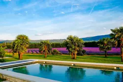 Location saisonnière Gite Bonnieux  