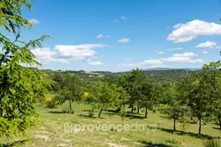 Location saisonnière Mas Murs  