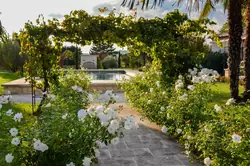 Location saisonnière Mas Bonnieux  