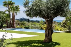 Location saisonnière Villa avec piscine Grimaud  