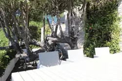 Location saisonnière Villa avec piscine Cavalaire-sur-Mer  