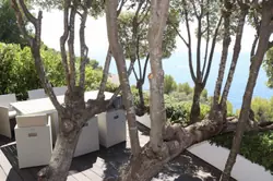 Location saisonnière Villa avec piscine Cavalaire-sur-Mer  