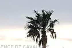 Location saisonnière T3 Cavalaire-sur-Mer  