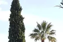 Location saisonnière T3 Cavalaire-sur-Mer  
