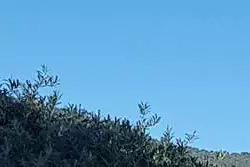 Location saisonnière T3 Cavalaire-sur-Mer  