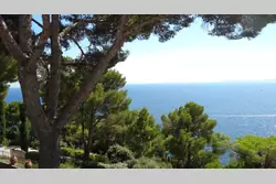 Location saisonnière Villa avec piscine Cavalaire-sur-Mer  
