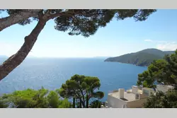 Location saisonnière Villa avec piscine Cavalaire-sur-Mer  