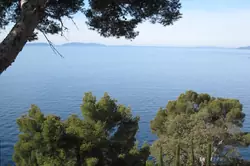 Location saisonnière Villa avec piscine Cavalaire-sur-Mer  