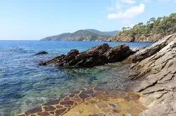 Location saisonnière T3 Cavalaire-sur-Mer  