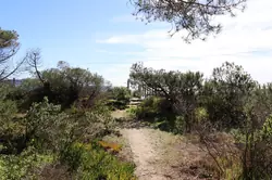 Location saisonnière Villa Cavalaire-sur-Mer  