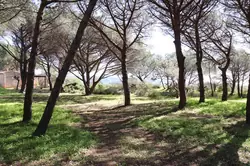 Location saisonnière Villa Cavalaire-sur-Mer  