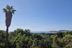Location saisonnière Villa avec piscine Cavalaire-sur-Mer  