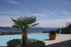 Location saisonnière Villa avec piscine Cavalaire-sur-Mer  
