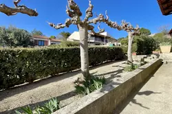 Location saisonnière T3 LEUCATE VILLAGE  