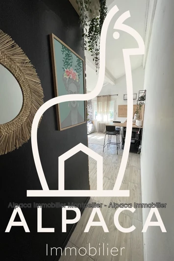 Vente Villa Saint-Clément-de-Rivière  