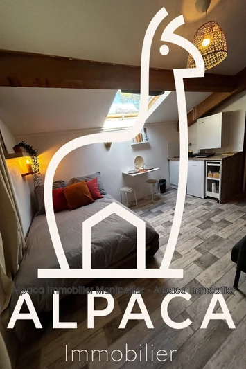 Vente Villa Saint-Clément-de-Rivière  