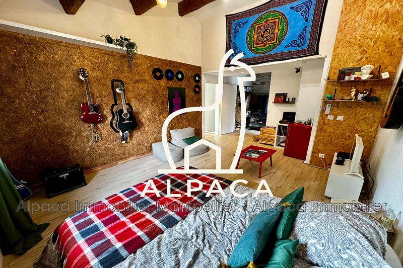 Vente Villa Saint-Clément-de-Rivière  