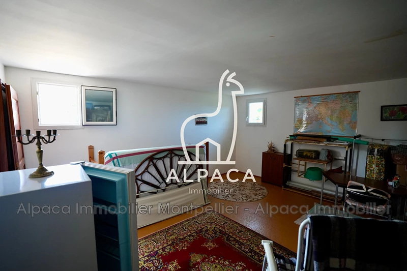 Vente Maison Saint-Clément-de-Rivière  