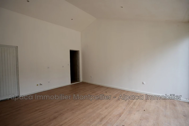 Vente Maison Assas  