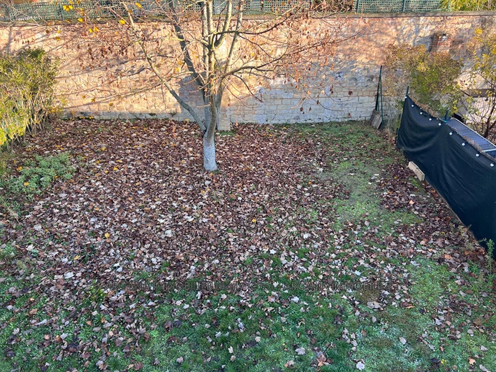 Location Maison Chatou Location Maison Chatou