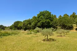 Location saisonnière Maison L'Isle-sur-la-Sorgue  
