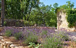 Location saisonnière Maison Lacoste Location saisonnière Maison Lacoste