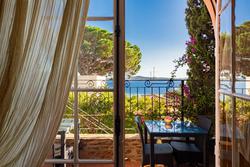 Professionnel  Grimaud  