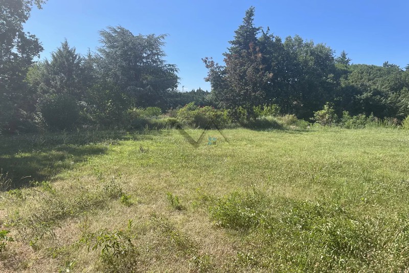 Photo Terrain Allan   achat terrain   750&nbsp;m&sup2;